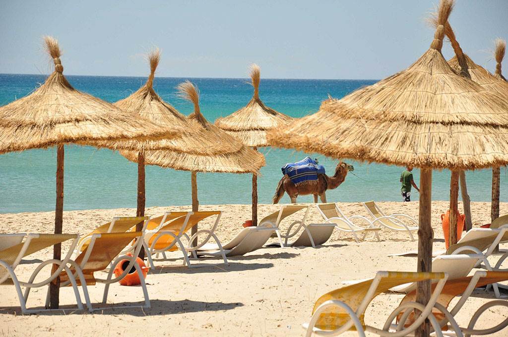 Hotel El Fell 3*